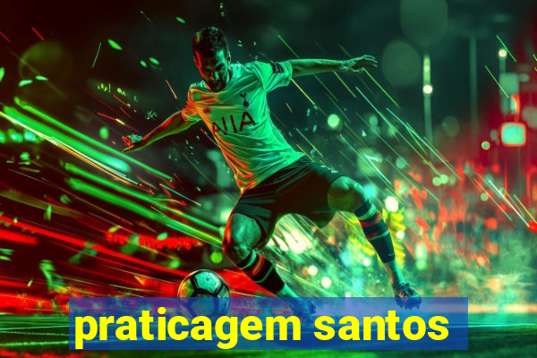 praticagem santos